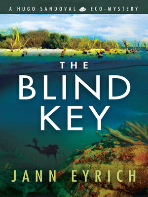 cover image of The Blind Key